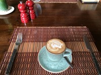 超越麝香猫等级！泰国金三角“象便咖啡”一杯1500