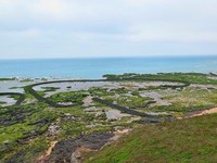 【5/9～5/10旅游运势】12星座本周去哪里玩？(下)