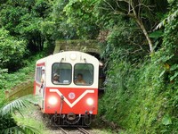 阿里山森林铁路　8月10日本线及祝山线停驶