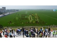 屏东迎来久违大雨！“立体熊大彩稻田”6日休园一天