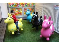整间店被可爱跳跳马包围　大人小孩都尖叫的Caffe Rody