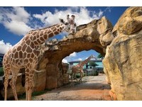 台中春季国际旅展抢好康　六福旅游集团推出限定优惠