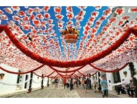 葡萄牙“花艺节”花海！7500名居民纯手工打造