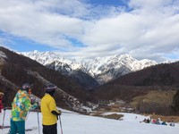 暖冬捣乱！野泽积雪0公分　日本滑雪场的野草比雪高