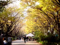 日本60所大学公然“卖学分”　一学分只要30元？