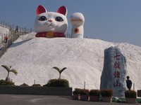 台南新亮点！6米高“大招财猫”爬上七股盐山挥手