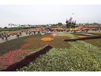 想看新社花海不要塞车吗？四大交通方法告诉你