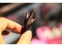 鸡爪造型巧克力超有创意　口味还有九层塔、蒜味及八角