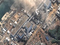 日本东北311感谢祭　来台天天送机票