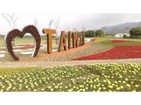 “纵谷间的彩色画布”花莲大农大富花海美翻！