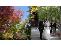 轻井泽日式“枫”情婚礼　破表浪漫让人直呼：想婚了！
