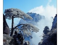 春游黄山趣！享知名的黄山温泉、看最有韵味的屯溪老街