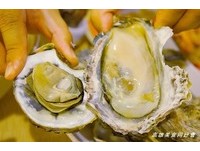 高雄超人气宵夜！主打自家养殖“生蚝”料理的海产店