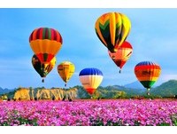 花牧兰热气球嘉年华　体验乘坐热气球缤纷升空的快感