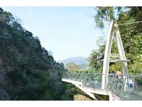 春游桃园5大主题　赏樱还能挑战天空绳桥！