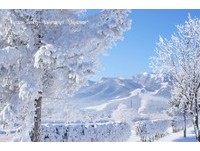 北海道入冬以来最冷　富良野出现绝美雪白“钻石星尘”