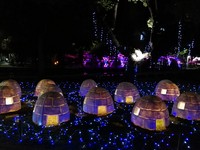 万坪北欧雪国！屏东圣诞节明点灯　冰屋、极光隧道超梦幻　