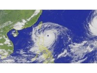 天鹅越来越肥　周末台北河岸音乐季宣布延期