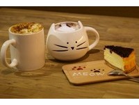 喵店长当家！全台８间猫奴必去咖啡厅