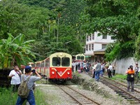 森铁、台湾好行都能搭！阿里山奋起湖一日券限量发售