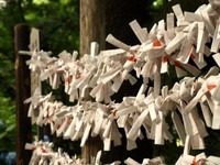 抽到大凶一定要绑起来吗？日本求签必知的6个基本知识
