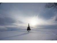 日剧里才有的浪漫雪景　一生必来一次的北海道
