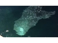 基隆出海钓小管　8米长“野生鲸鲨”船旁绕一小时