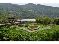 北市后花园爱恋迎初夏　白石湖同心池换新妆花样百出