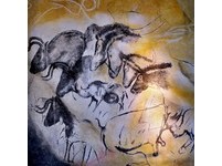 “36000年冰河期猛犸壁画”南法洞穴复制品4月对外开放