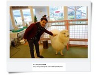 和动物近距离抱抱！日本箱根超可爱动物园、水族馆