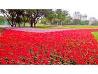 每一个角落皆是美景　春节必去“北市六大河滨公园”