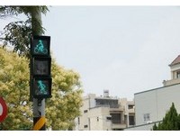 小绿人改骑单车了！新营设台南首座“自行车专用号志”