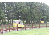 苗栗旧城线三义-胜兴-龙腾断桥打造骑铁道自行车