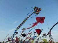  “2015竹堑风筝节”周末南寮渔港登场