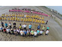 立体熊大出现！屏东彩绘田和Line合作　28日将亮相