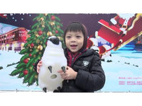 上百只“绵羊”12日现身基隆广场！民众直呼太疗愈