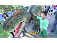 台中恐龙展经过会动+嘶吼　孩哭哭逃～恐龙叹：热死了