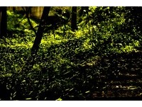 去那里玩最爽快？12星座本周末旅游运势（下）