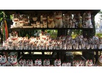 东京“招财猫神社”豪德寺幸运与财富一招就来