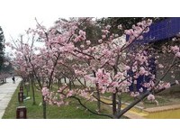 新竹眷村博物馆、玻璃工艺博物馆　初一、初三开馆！