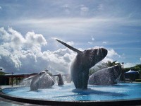 台湾之光！屏东海生馆被评选为亚洲第四名水族馆