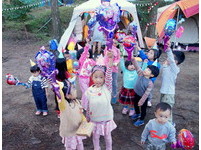 松叶林下的庆生Party！入门露营地苗栗“松涛意境”