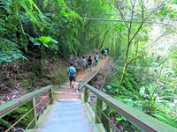 南投竹山梯子吊桥除夕休园一天　周边进行道路管制