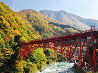 车票别丢！持阿里山森铁票　11月底前日本铁道免费搭