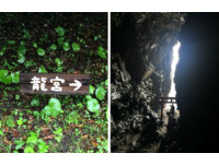 5千年自然雕琢而成　宫崎龙宫“f龙”奇景