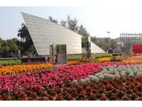 台南轻旅行搭公车走春　白天赏花夜晚赏灯