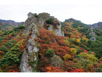 上帝打翻了调色盘！日本四国赏枫秘境寒霞溪缤纷多彩
