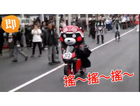 呆萌熊本熊潇洒骑野狼　网友笑翻：怎么打档拉？！