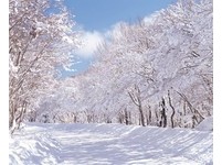 享受市区观光不用愁　釜山转机济州可免费搭黄金巴士