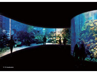 造价10亿的水族馆！海科馆海洋生态展示馆8日动土